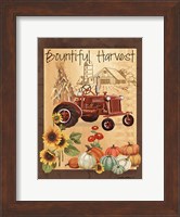 Framed Bountiful Harvest III