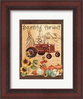 Framed Bountiful Harvest III