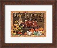Framed Bountiful Harvest IV