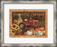 Framed Bountiful Harvest IV