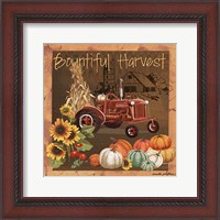 Framed Bountiful Harvest V