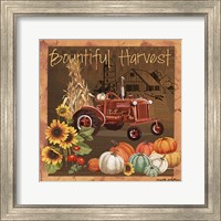 Framed Bountiful Harvest V