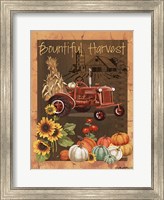 Framed Bountiful Harvest VI