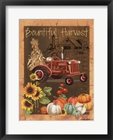 Framed Bountiful Harvest VI