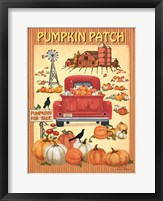 Framed Pumpkin Patch II