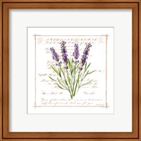 Framed 'Floral III' border=