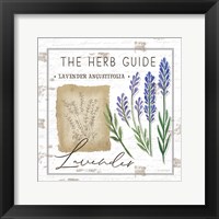 Framed Herb Guide - Lavender
