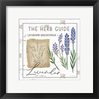 Framed 'Herb Guide - Lavender' border=