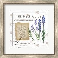 Framed 'Herb Guide - Lavender' border=