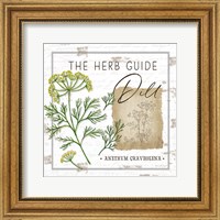Framed 'Herb Guide - Dill' border=