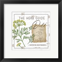 Framed 'Herb Guide - Dill' border=