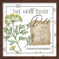 Framed Herb Guide - Dill