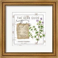 Framed 'Herb Guide - Thyme' border=