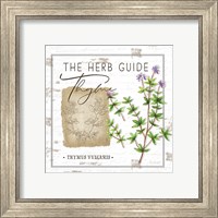 Framed 'Herb Guide - Thyme' border=