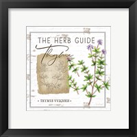 Framed 'Herb Guide - Thyme' border=