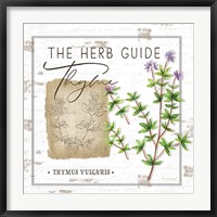 Framed Herb Guide - Thyme