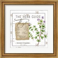 Framed Herb Guide - Thyme
