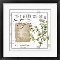 Herb Guide - Thyme Framed Print