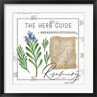 Framed Herb Guide - Rosemary