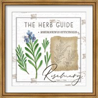 Framed Herb Guide - Rosemary
