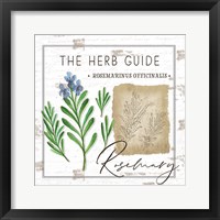 Framed 'Herb Guide - Rosemary' border=