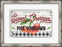 Framed Sweet Cherries