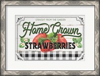 Framed Home Grown Strawberries