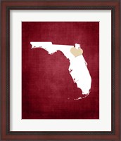 Framed Florida