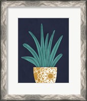 Framed Cactus I