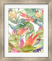 Framed 'Tropical Watercolor' border=