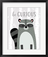 Framed Be Curious Raccoon