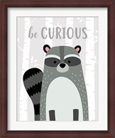 Framed Be Curious Raccoon