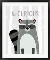 Framed Be Curious Raccoon