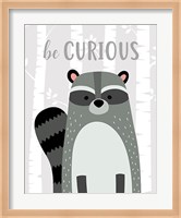 Framed Be Curious Raccoon