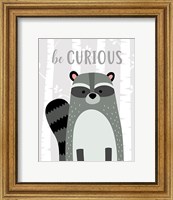 Framed Be Curious Raccoon