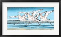 Framed Birds