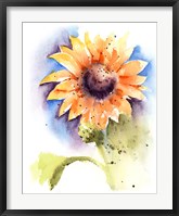 Framed Sunflower I