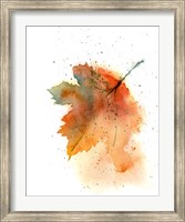 Framed Fall Leaves II