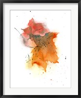 Framed Fall Leaves IV