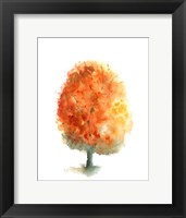 Framed Fall Tree II