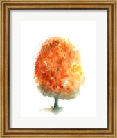 Framed Fall Tree II