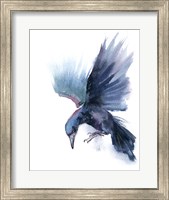 Framed Crow I