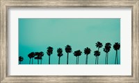 Framed Palms in Color
