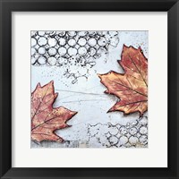 Channeling Fall 3 Framed Print