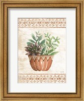 Framed Southwest Terracotta Succulents I