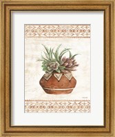 Framed Southwest Terracotta Succulents II