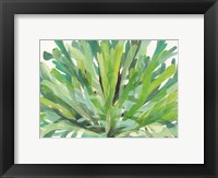 Framed Tropical Sea Grass 1