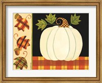 Framed White Pumpkin, Leaves and Acorns