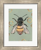 Framed Bee