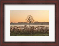 Framed Just Come Cows and A Dead Tree